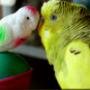 RenamedUser_3675340