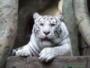 RenamedUser_3739474