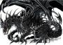 Drakon20709876