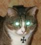 Belial