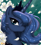 Princess__Luna