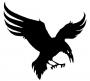 Raven_WEst