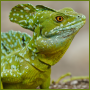 RenamedUser_5261033