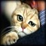 RenamedUser_6032538