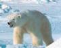 RenamedUser_6105659