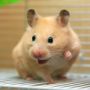 RenamedUser_6198146