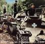 PZ_V