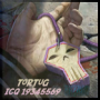 ToRTuK