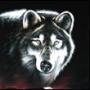 WhItE_DoG